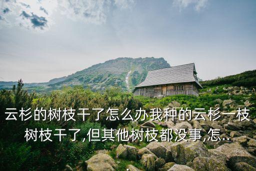 樹干生黑霉病用什么農(nóng)藥