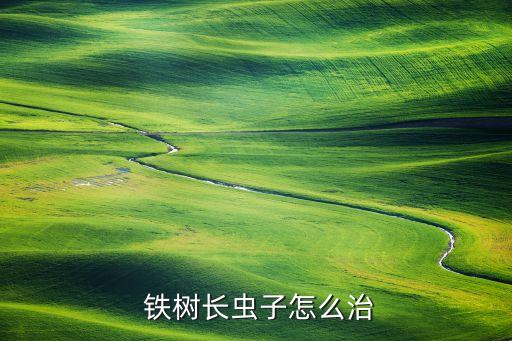 鐵樹長蟲子怎么治