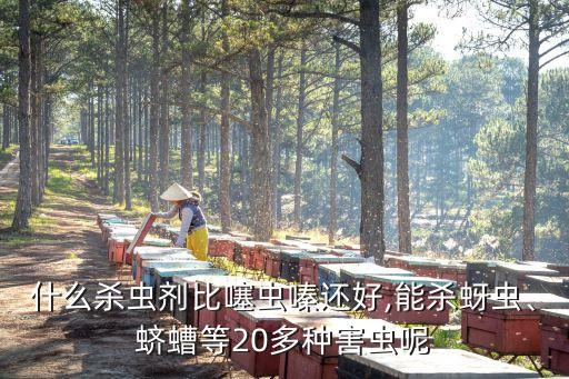 什么殺蟲劑比噻蟲嗪還好,能殺蚜蟲、蠐螬等20多種害蟲呢