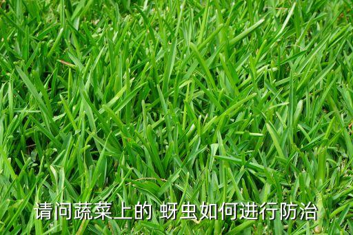 蘿卜蚜蟲用什么農(nóng)藥好殺,蚜蟲打什么農(nóng)藥