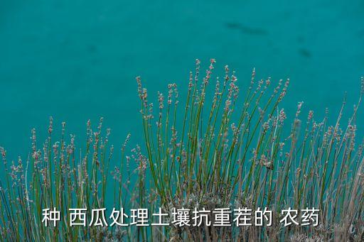 西瓜用什么農(nóng)藥殺蟲(chóng),西瓜后期打什么農(nóng)藥好