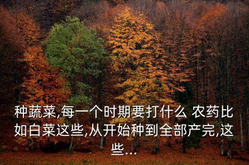 種蔬菜,每一個時期要打什么 農(nóng)藥比如白菜這些,從開始種到全部產(chǎn)完,這些...