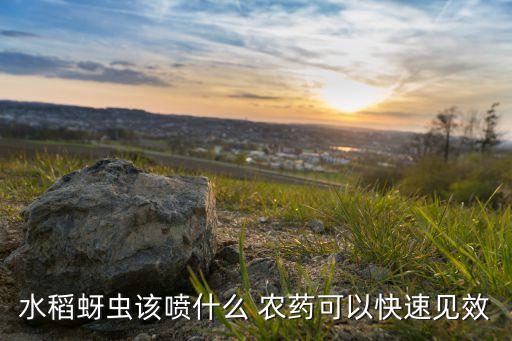 噴農(nóng)藥噴什么效果好,用什么農(nóng)藥噴毛毛蟲(chóng)最有效