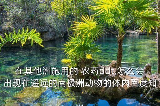 在其他洲施用的 農藥ddt,怎么會出現在遙遠的南極洲動物的體內百度知...