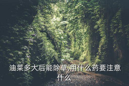 種油菜打什么農藥好用視頻