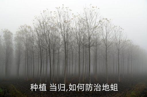 種植當(dāng)歸用什么農(nóng)藥好,當(dāng)歸打什么農(nóng)藥壯根