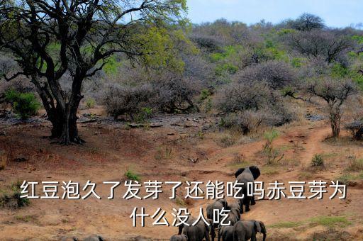 紅豆泡久了發(fā)芽了還能吃嗎赤豆芽為什么沒人吃