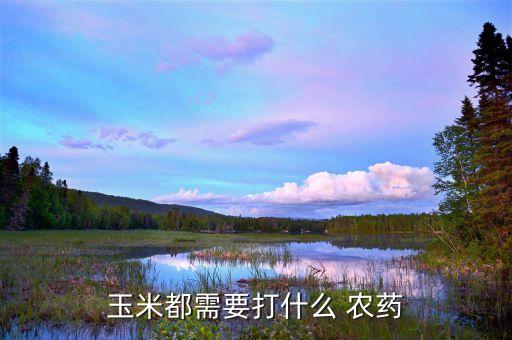 玉米都需要打什么 農藥