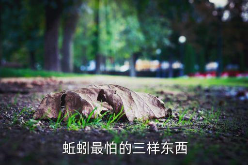 蚯蚓最怕的三樣?xùn)|西