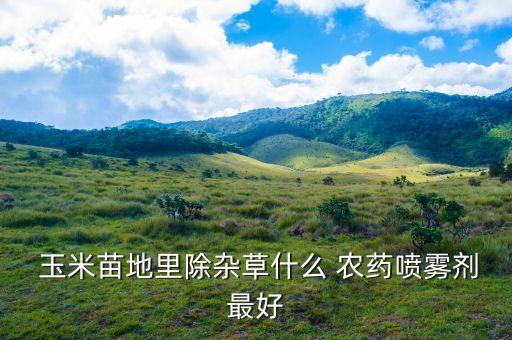  玉米苗地里除雜草什么 農藥噴霧劑最好