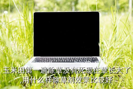 打什么農藥滅草效果好,滅草什么農藥最管用