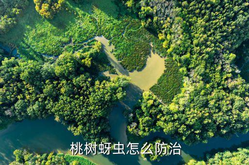  桃樹蚜蟲怎么防治