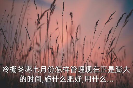 冬棗樹什么時候打農藥