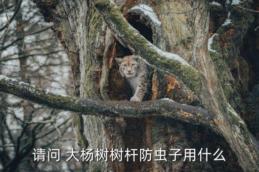 什么農藥殺大楊樹,殺楊樹需要什么手續