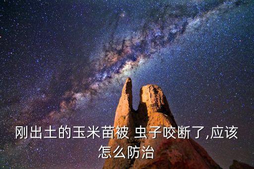 毒辛農(nóng)藥治什么蟲(chóng)子,什么農(nóng)藥最毒最快死人