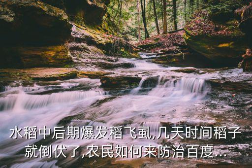 晚稻打什么樣的農藥