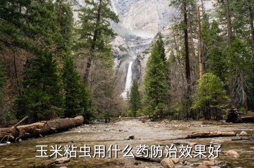 玉米粘蟲用什么藥防治效果好