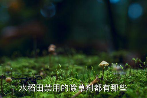水稻田禁用的除草劑都有那些