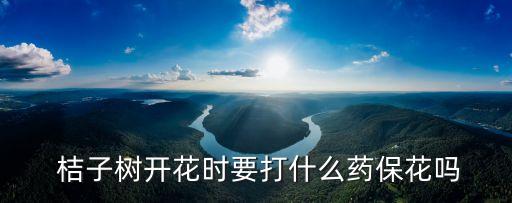 桔子樹開花時要打什么藥保花嗎