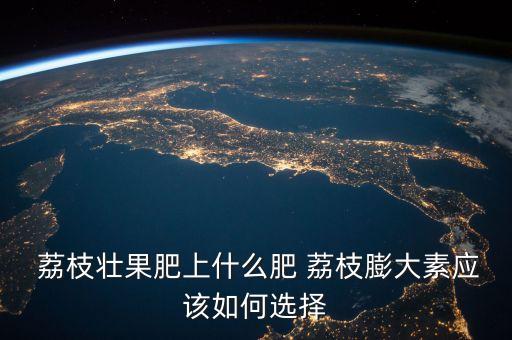 荔枝壯果肥上什么肥 荔枝膨大素應該如何選擇