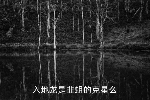 入地龍是韭蛆的克星么