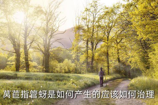 萵筍蟲咬用什么農(nóng)藥,萵筍打什么農(nóng)藥最好