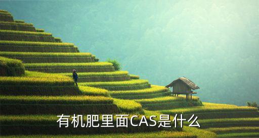 農(nóng)藥的cas什么意思,農(nóng)藥產(chǎn)品標(biāo)準(zhǔn)號(hào)什么意思