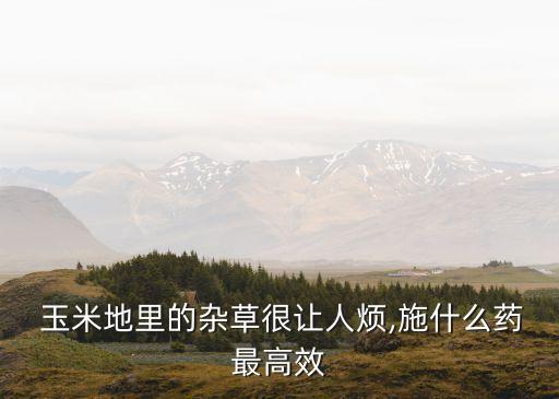 玉米地可以澆什么農藥最好