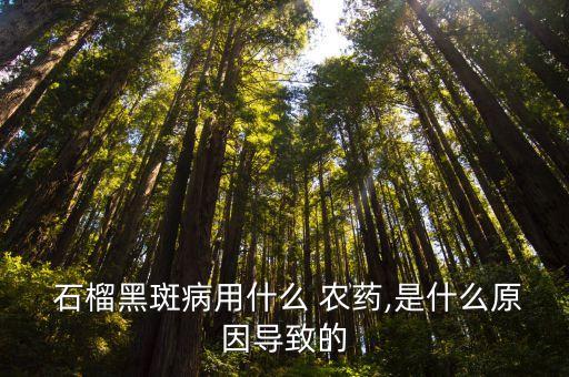 石榴黑斑病用什么 農藥,是什么原因導致的