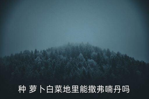 種 蘿卜白菜地里能撒弗喃丹嗎