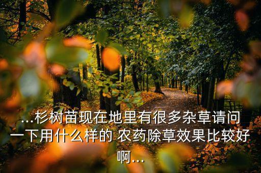 ...杉樹苗現在地里有很多雜草請問一下用什么樣的 農藥除草效果比較好啊...
