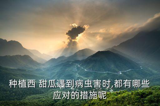 種植西 甜瓜遇到病蟲害時(shí),都有哪些應(yīng)對的措施呢