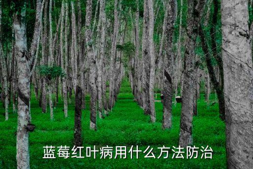 藍莓紅葉病用什么方法防治
