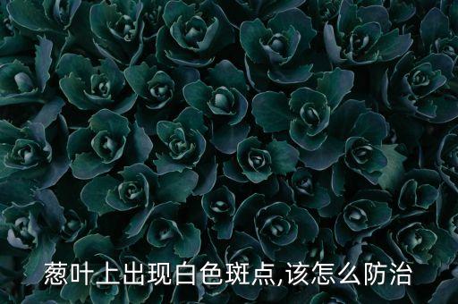 大蔥長白點打什么農藥