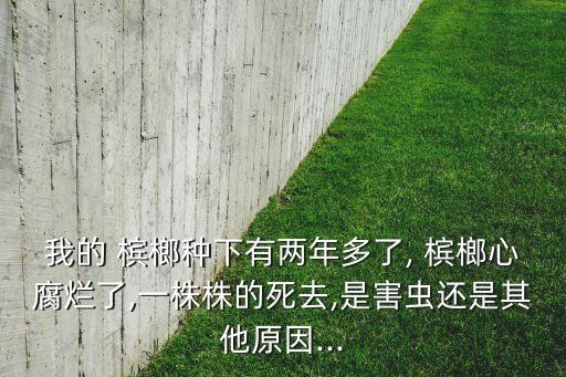 我的 檳榔種下有兩年多了, 檳榔心腐爛了,一株株的死去,是害蟲還是其他原因...
