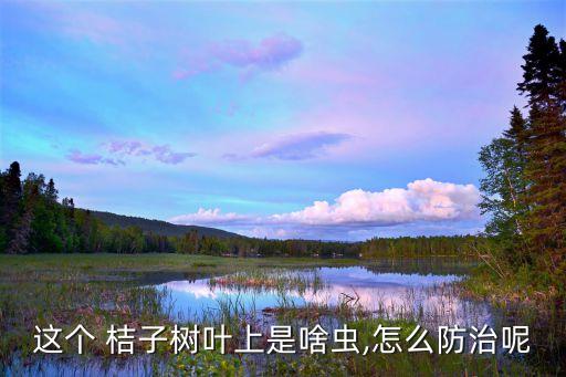 桔子樹用什么農藥,現在桔子樹打什么農藥好