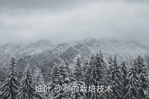 沙參死苗用什么農藥,馬蹄死苗用什么農藥