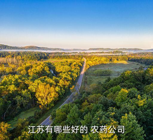 什么廠家的農藥好賣點兒,嘉綠元農藥廠家在什么地方