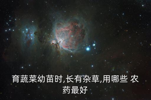 大棚種菜要用什么農藥好