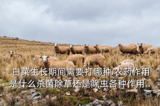 白菜小苗打什么農(nóng)藥,白菜脫落病用什么農(nóng)藥