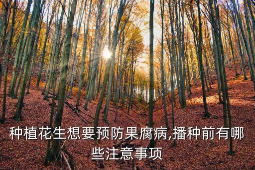 種植花生想要預防果腐病,播種前有哪些注意事項