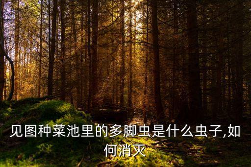 多足蟲(chóng)怕什么農(nóng)藥,螺絲蟲(chóng)最怕什么農(nóng)藥