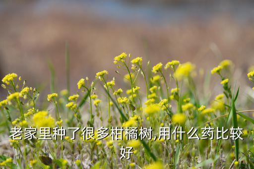 柑桔寶果用什么農藥,柑桔現在打什么農藥