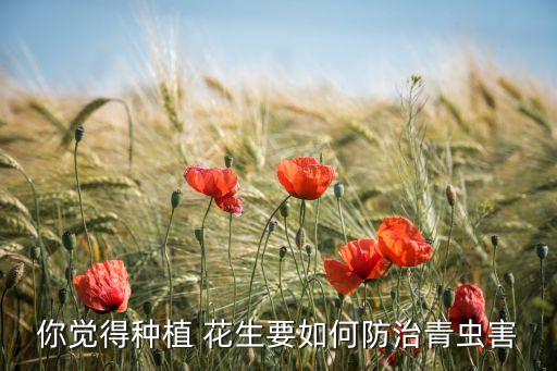 你覺得種植 花生要如何防治青蟲害