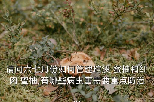 蜜柚噴什么農(nóng)藥好,蜜柚開花前噴什么藥