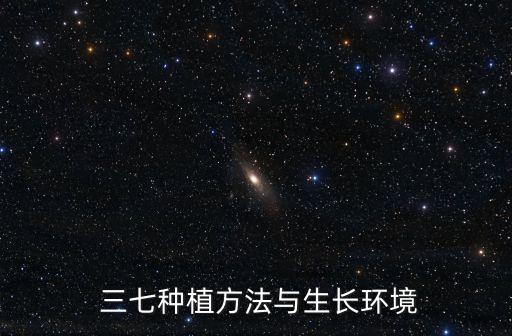 種三七用什么進口農藥,三七打什么農藥