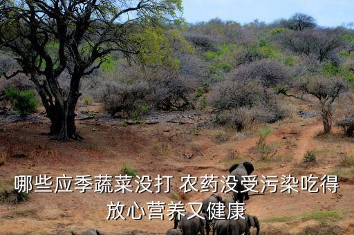 哪些應季蔬菜沒打 農藥沒受污染吃得放心營養又健康