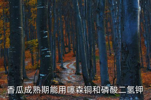 香瓜成熟期能用噻森銅和磷酸二氫鉀