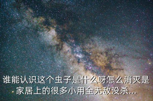 誰(shuí)能認(rèn)識(shí)這個(gè)蟲(chóng)子是什么呀怎么消滅是家居上的很多小用全無(wú)敵沒(méi)殺...