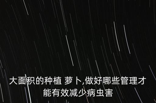 大面積的種植 蘿卜,做好哪些管理才能有效減少病蟲害